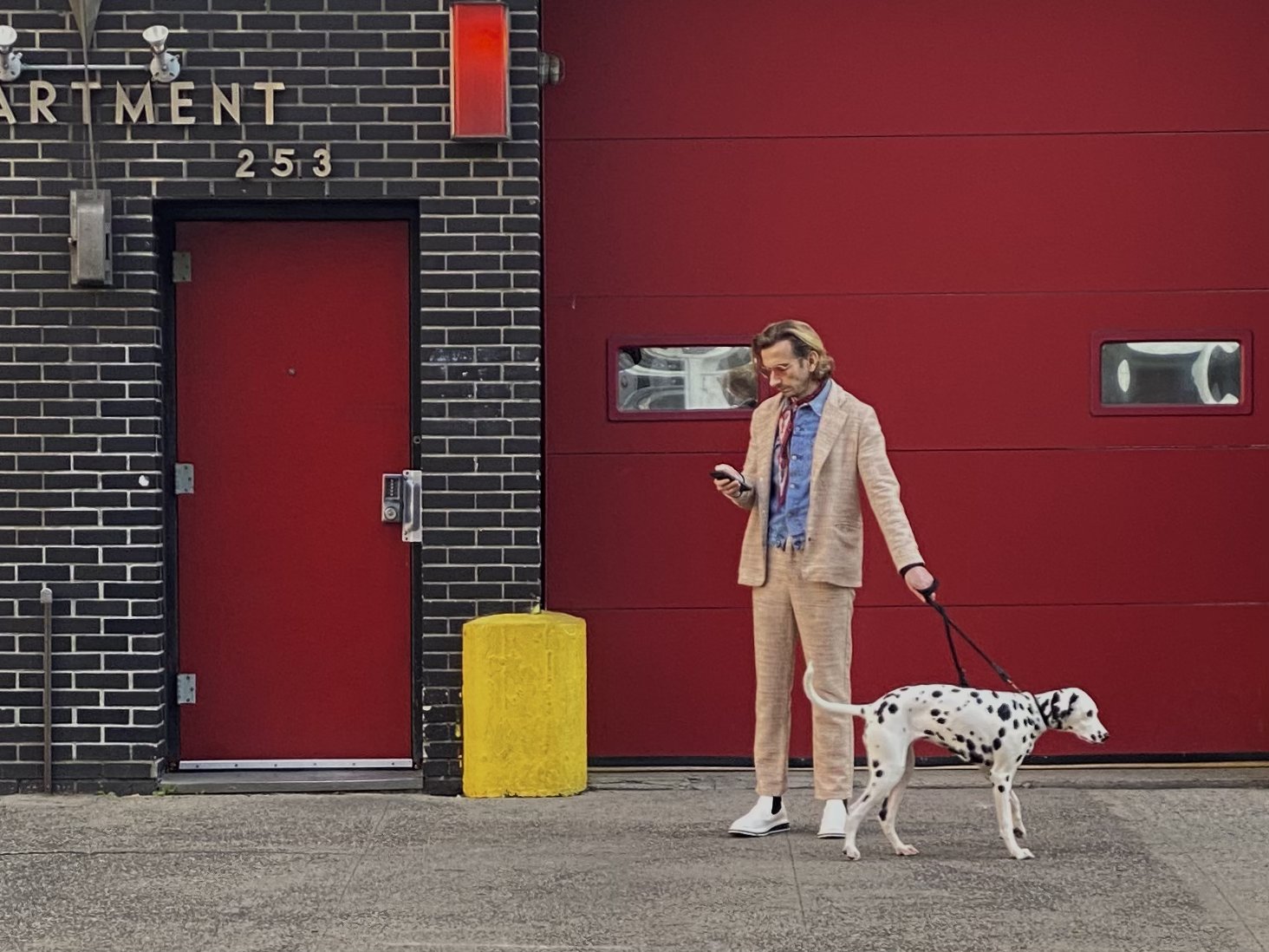 A man and a dog, New York, November 2022